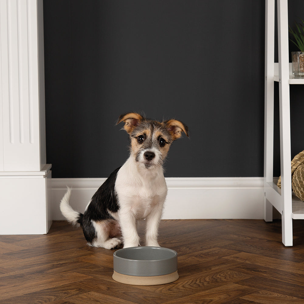 Scruffs Scandi Non Tip Pet Food & Water Bowl Grey 16 x 16 x 5cm | 0.5L