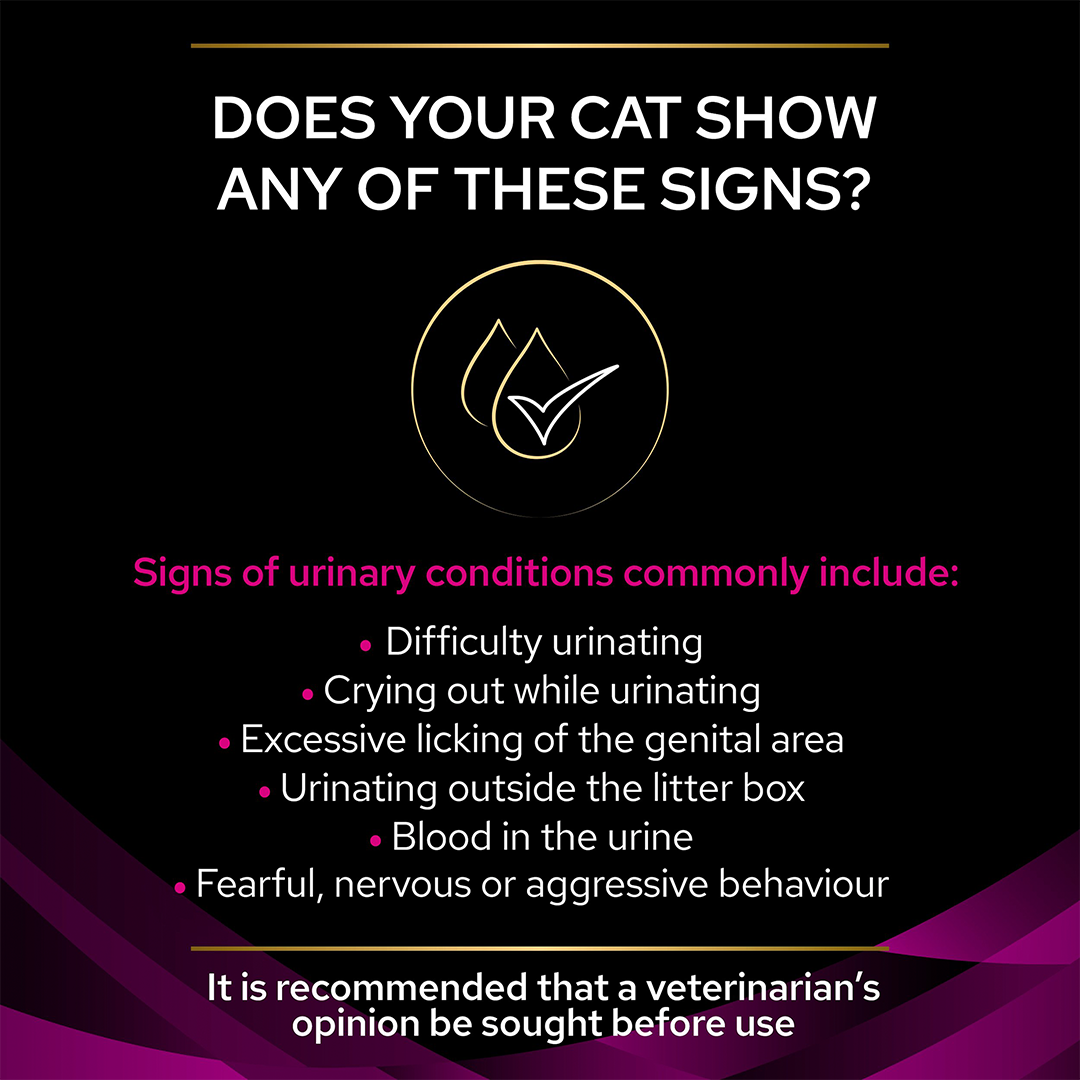 Pro Plan Veterinary UR Urinary with Chicken Wet Cat Food 10 x 85g