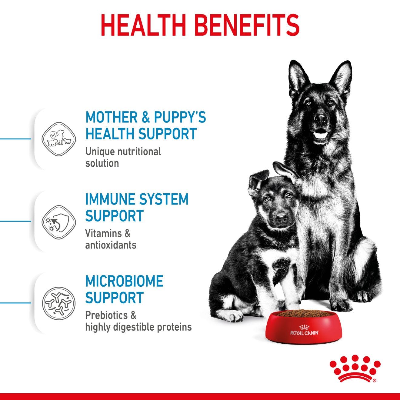 Royal Canin Mother & Babydog Maxi Starter Dry Dog Food