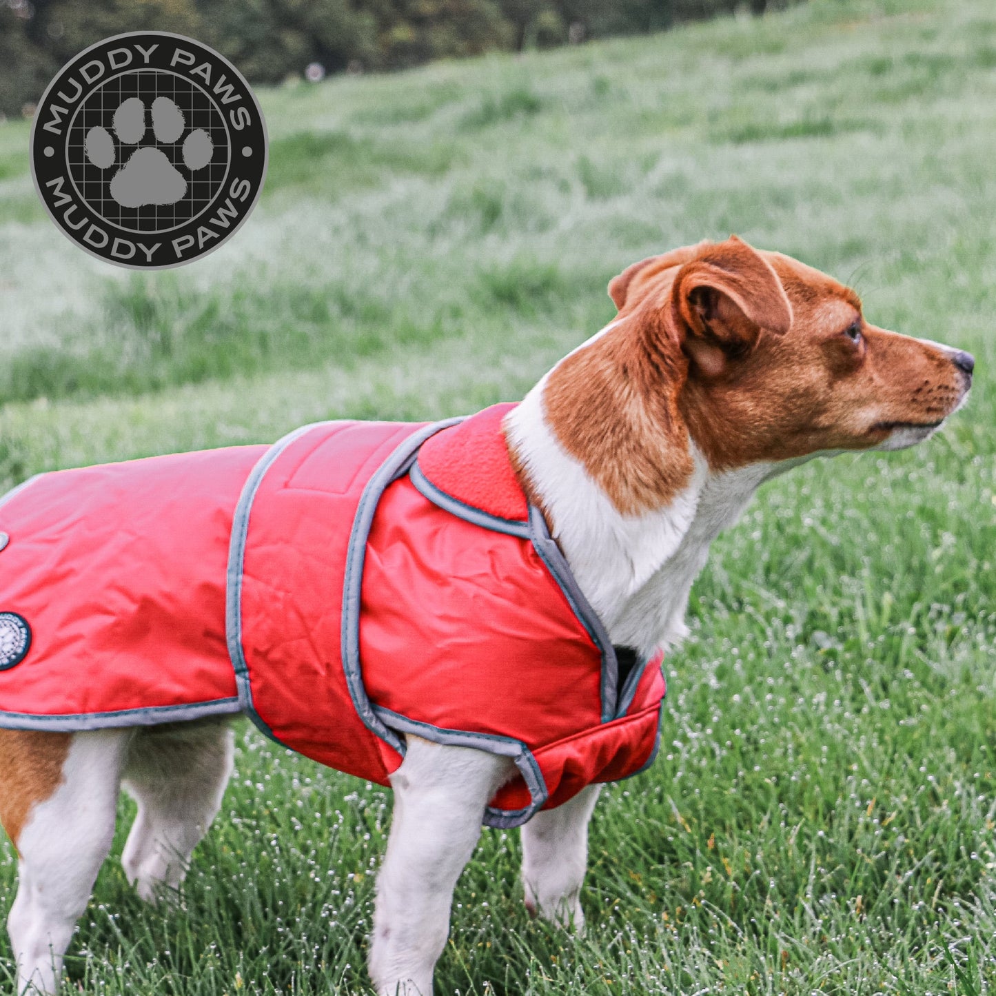 Ancol Stormguard Dog Coat Red