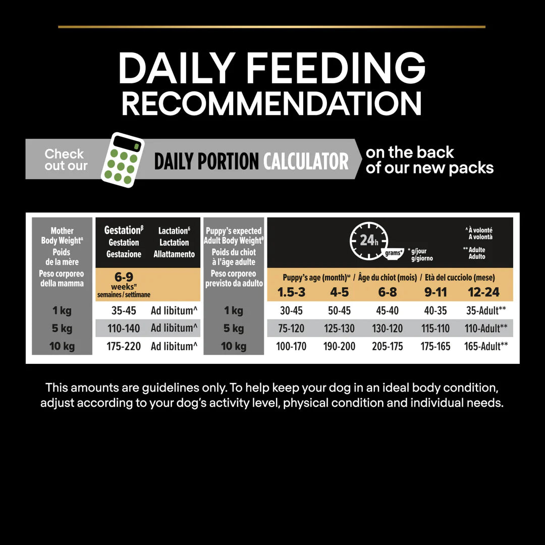 Pro Plan Small and Mini Puppy Healthy Start Chicken Dry Dog Food