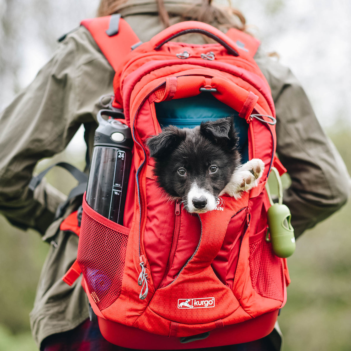 Kurgo G-Train Dog Carrier Backpack