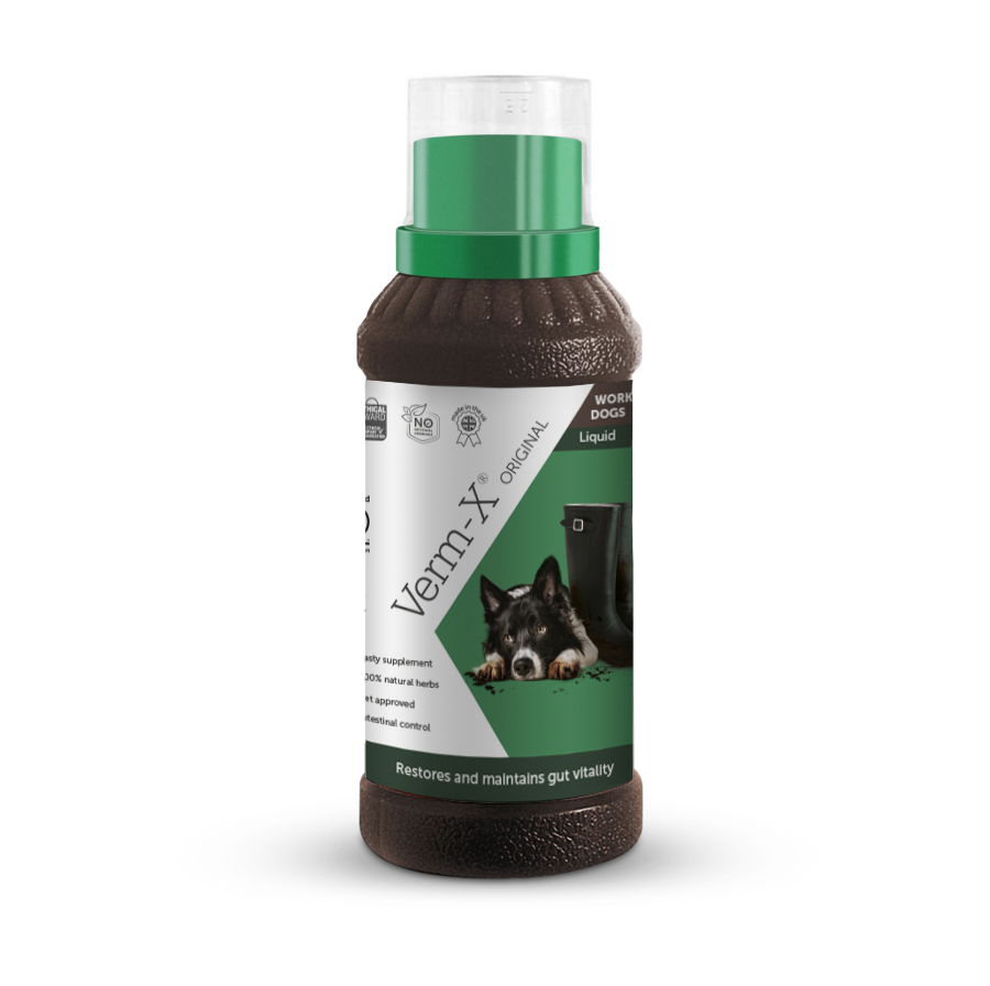 Verm-X Original Liquid Dogs Supplement 250ml