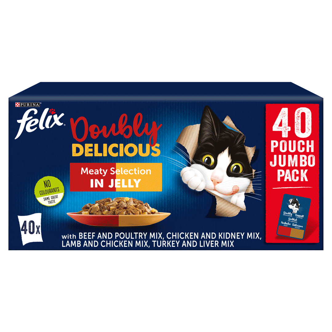 Felix Adult As Good As it Looks Doubly Delicious Meaty Selection Wet Cat Food 40 x 100g