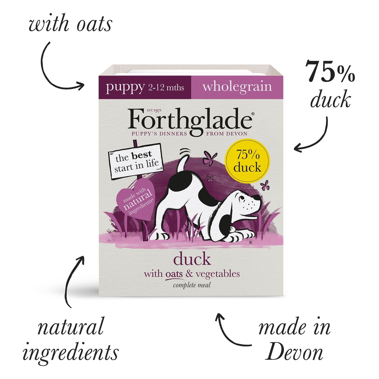 Forthglade Complete Wholegrain Recipe Puppy Duck with Oats & Vegetables Wet Food 12 x 395g