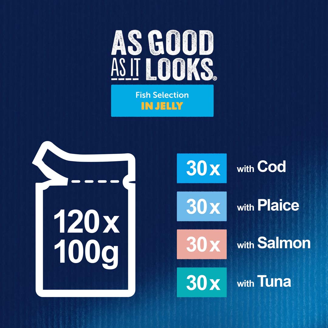 Felix Senior As Good As it Looks 7+ Fish Selection in Jelly Wet Cat Food 12 x 100g