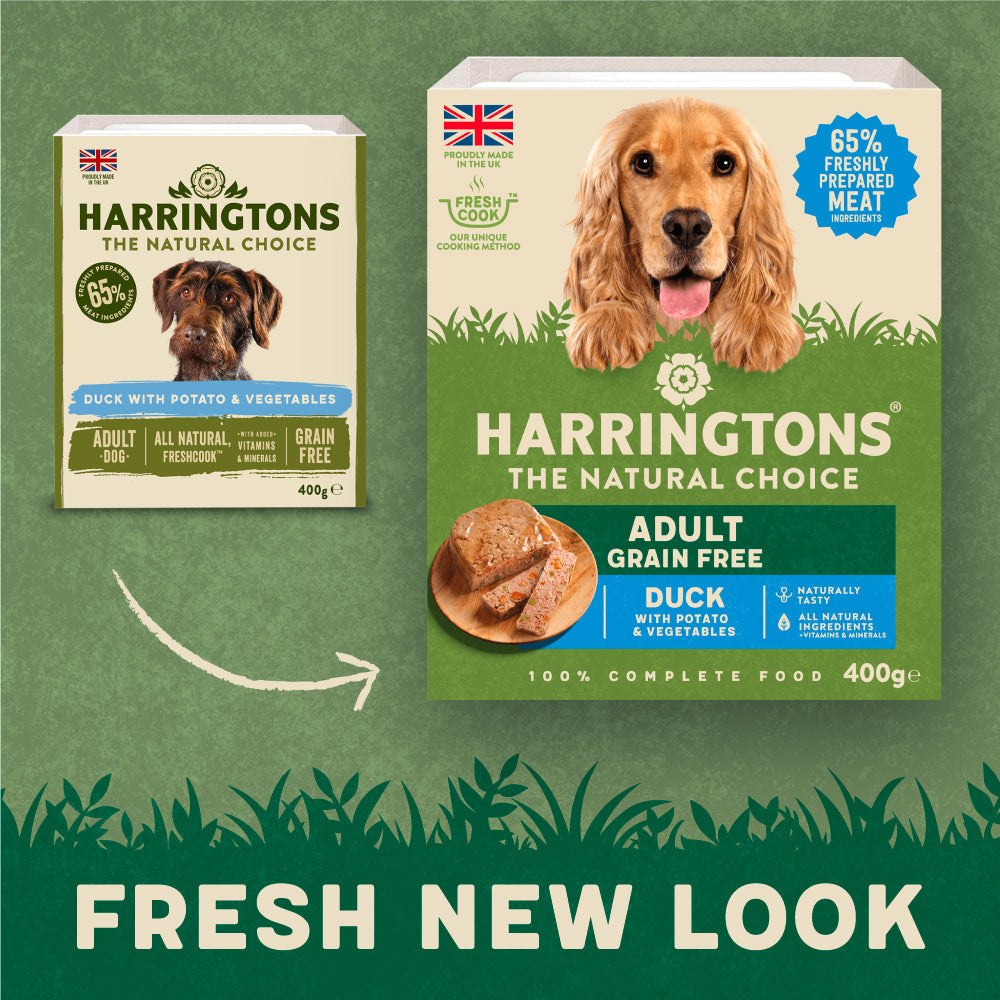 Harringtons Grain Free Mixed Wet Dog Food Bumper Pack 6 x 150g