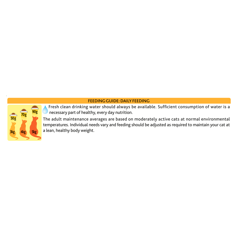 Go Cat Crunchy and Tender Beef/ Chicken & Veg Dry Cat Food - 325g