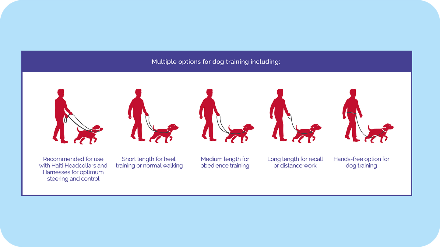 Halti Training Lead for Dog