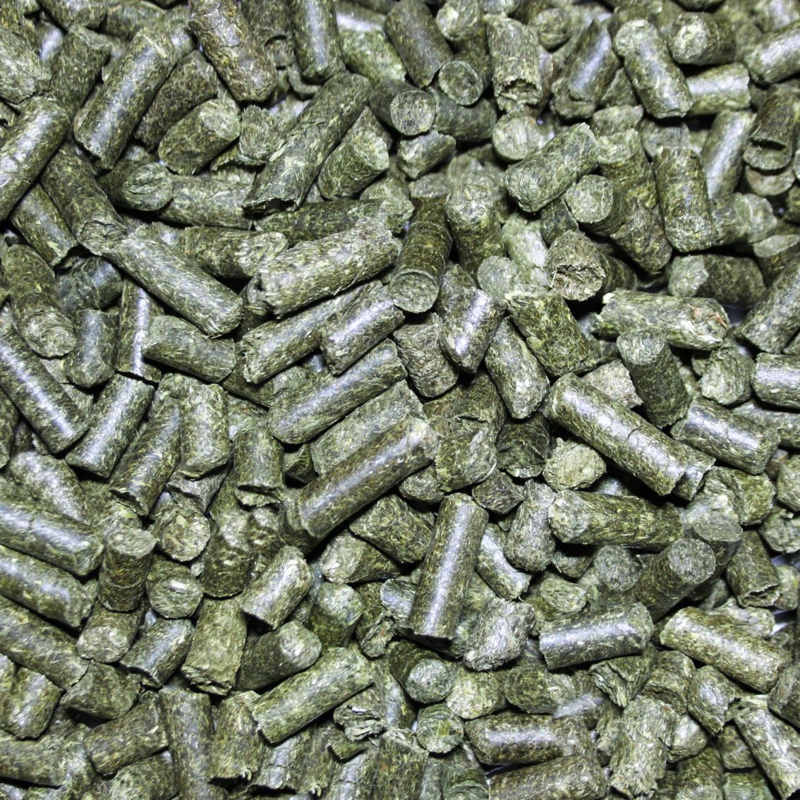 Pettex Reptile Substrate Herbivore Bedding 10L