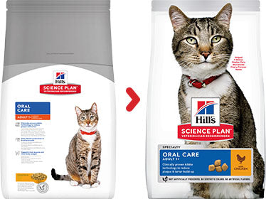 Hill's Science Plan Adult Oral Care with Chicken Dry Cat Food