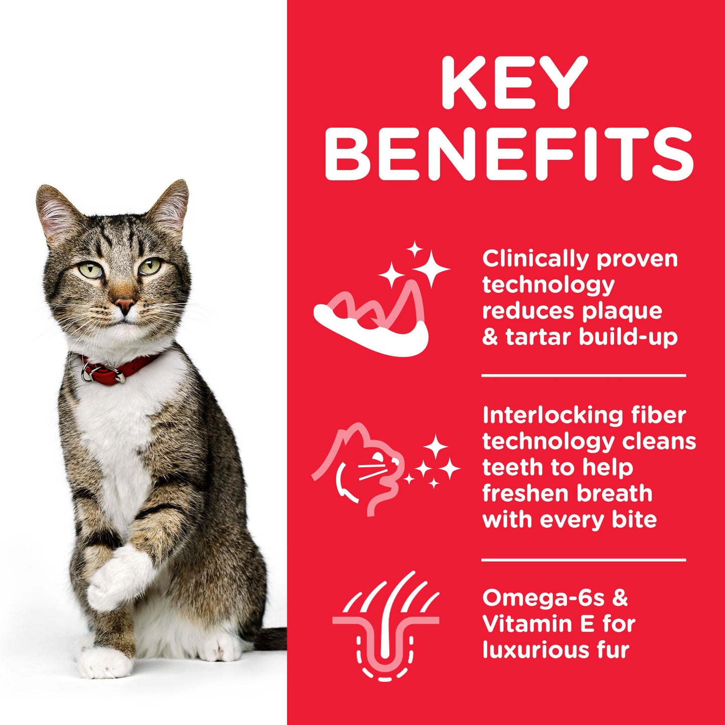 Hill's Science Plan Adult Oral Care with Chicken Dry Cat Food