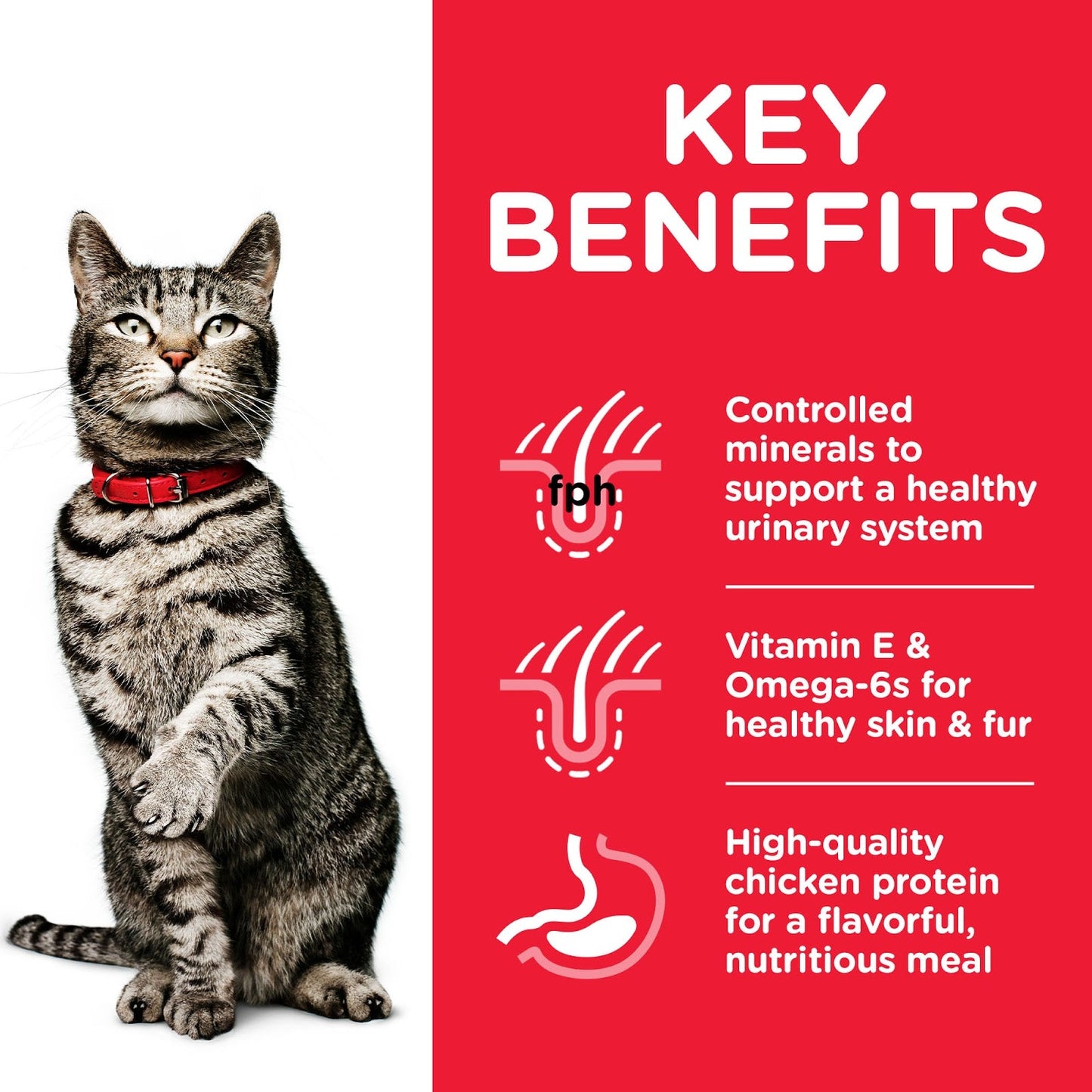 Hills Science Plan Cat Adult Dry Chicken Urinary 1.5kg