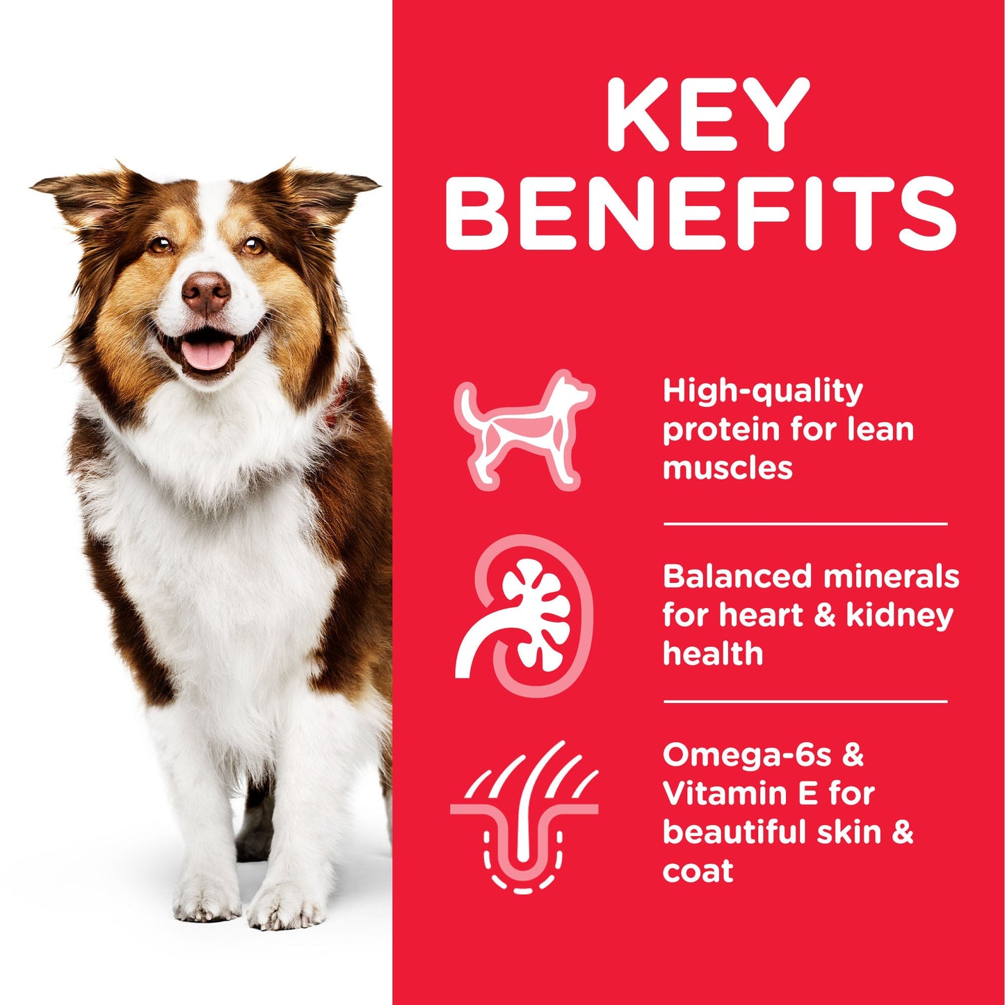 Hill's Science Plan Adult 7+ Medium Mature with Chicken Dry Dog Food 14kg