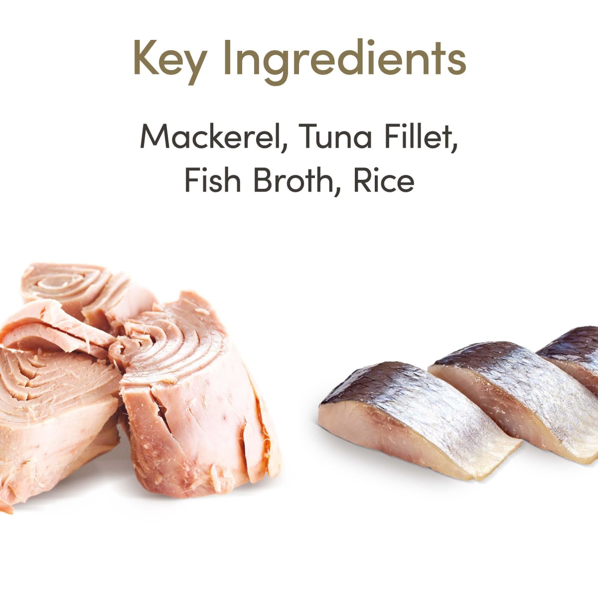 Applaws Ocean Fish in Broth Wet Cat Food