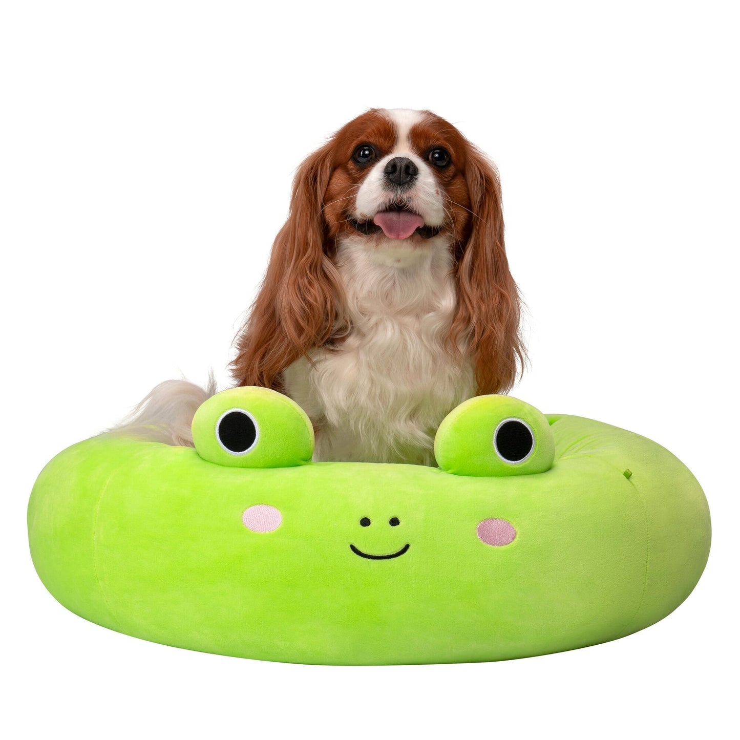 Jazwares Squishmallows Wendy The Frog Pet Bed Medium 24"