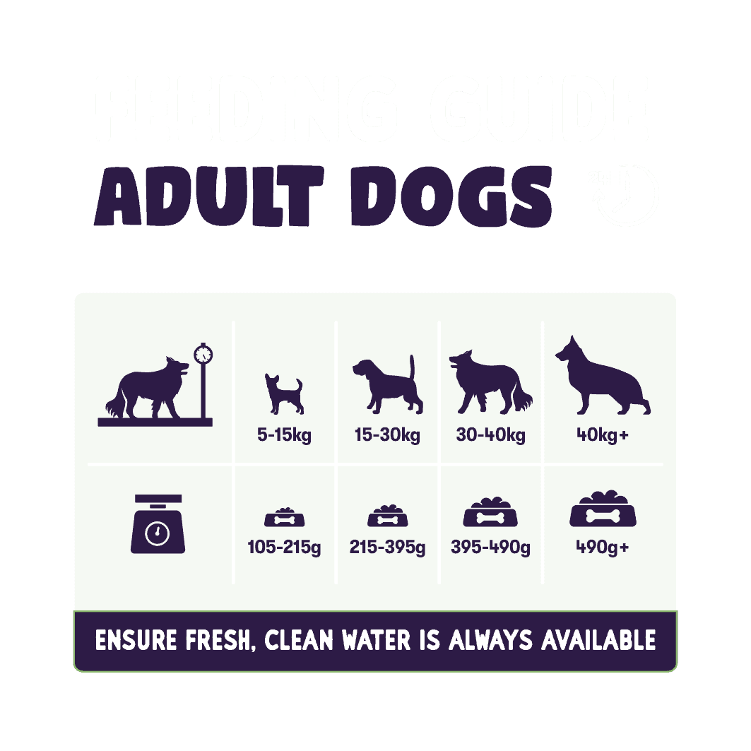 Burgess Sensitive Adult Lamb Dry Dog Food