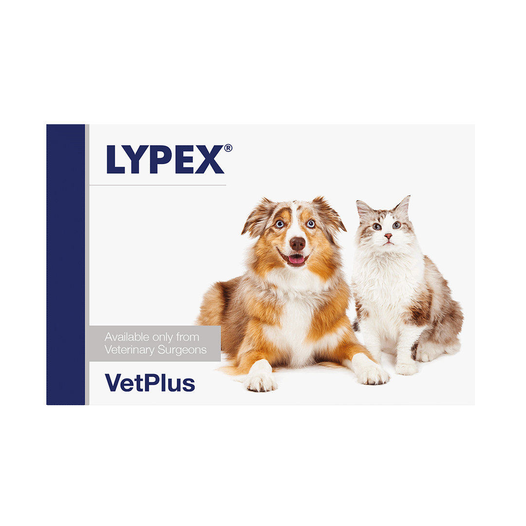 VetPlus Lypex Pancreas Pancreatic for Dogs & Cats 60 Capsules