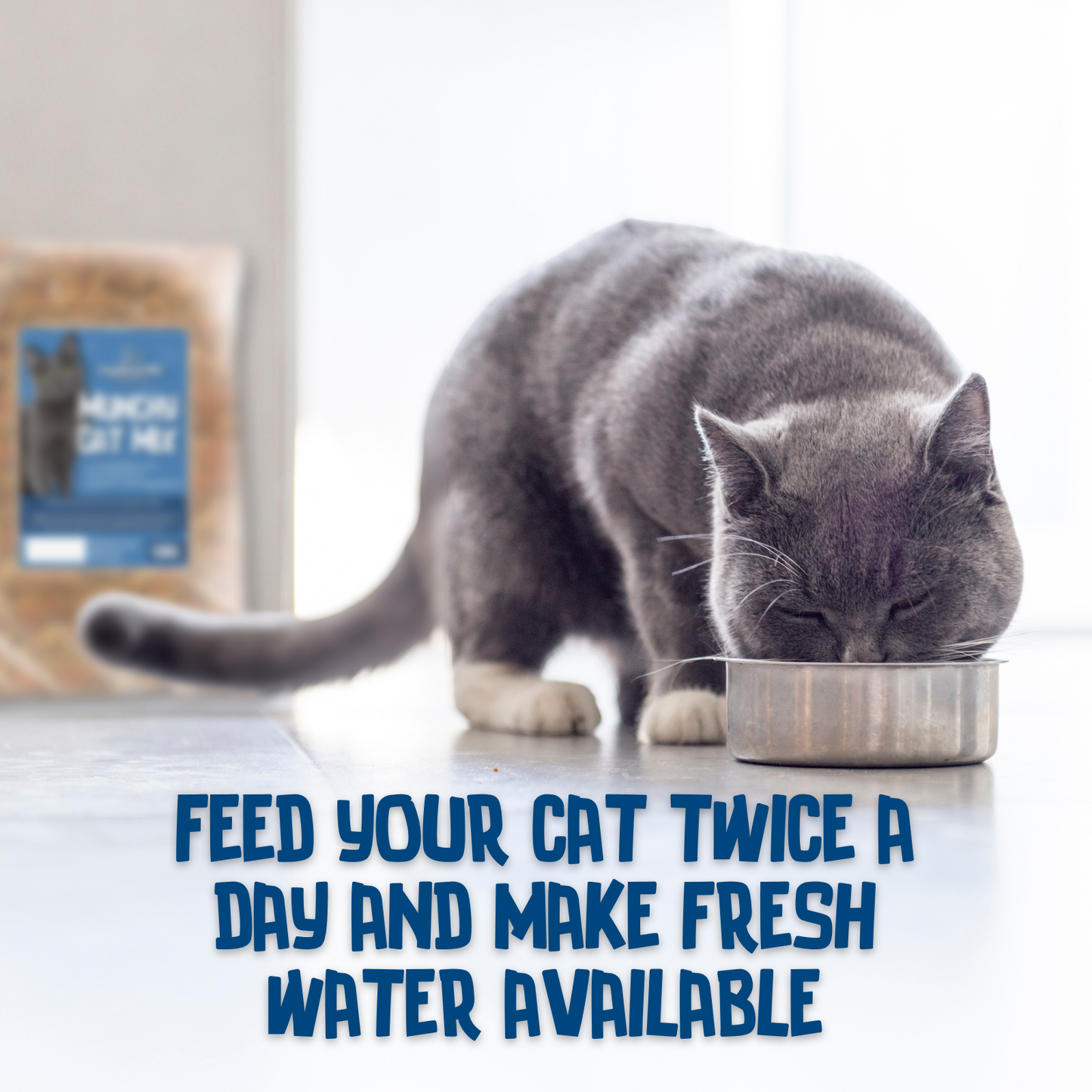 Copdock Mill Munchy Mix Dry Cat Food 10kg