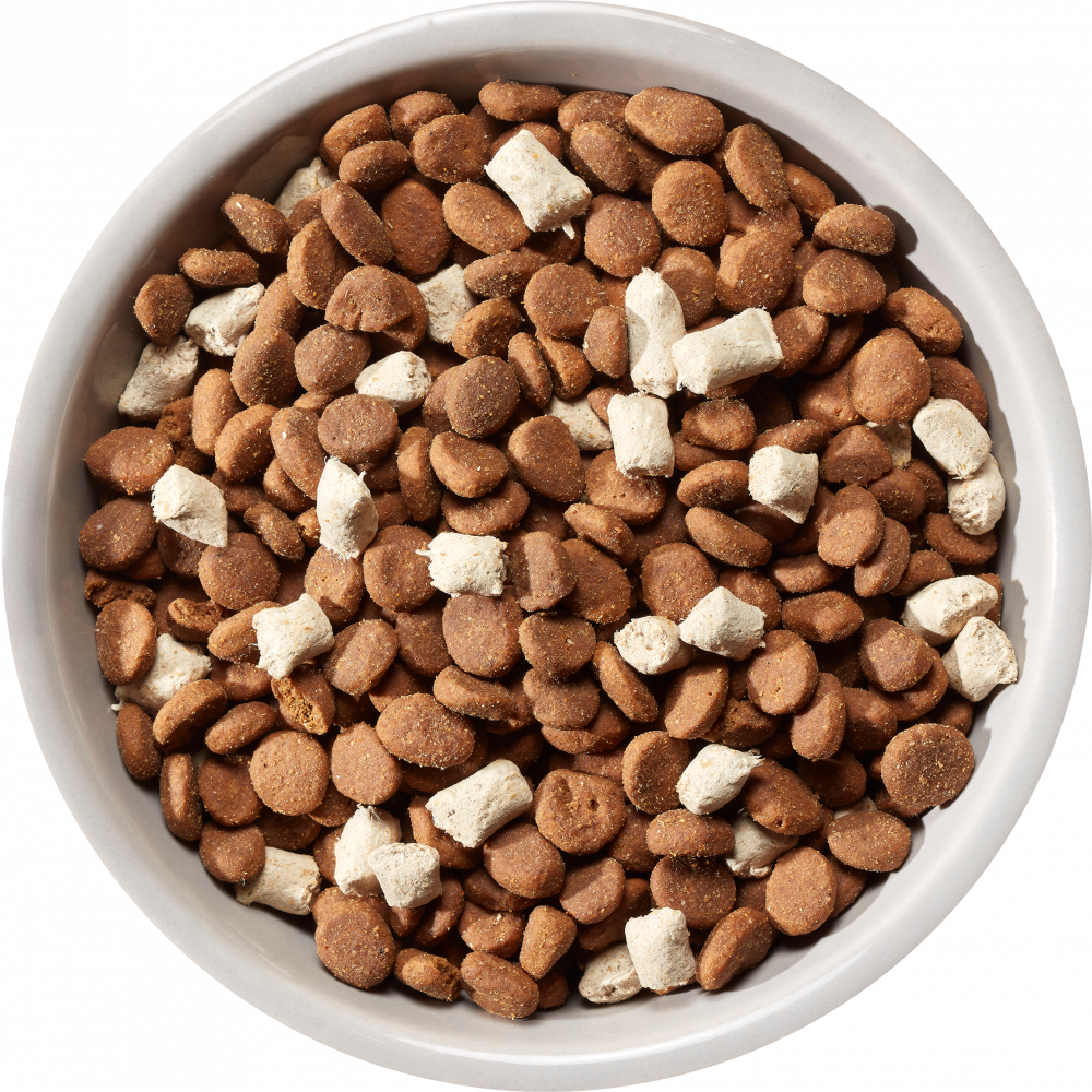 Nature's Variety Meat Boost Norwegian Salmon Adult Dry Dog Food 1.5Kg