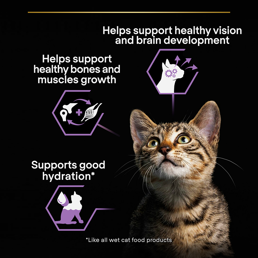 Pro Plan Kitten Healthy Start Turkey in Gravy Wet Cat Food 10 x 85g