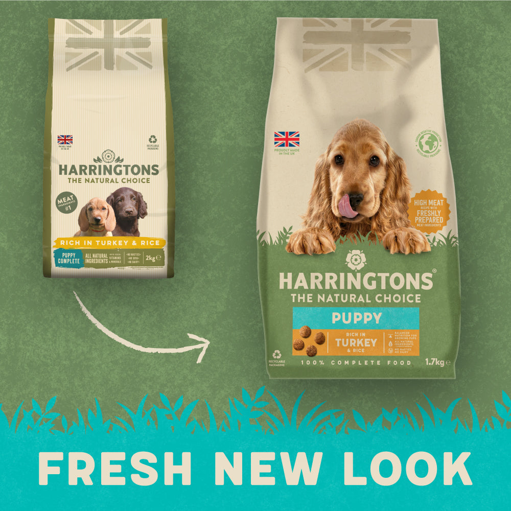 Harringtons Rich in Turkey & Rice Dry Puppy Food 10kg