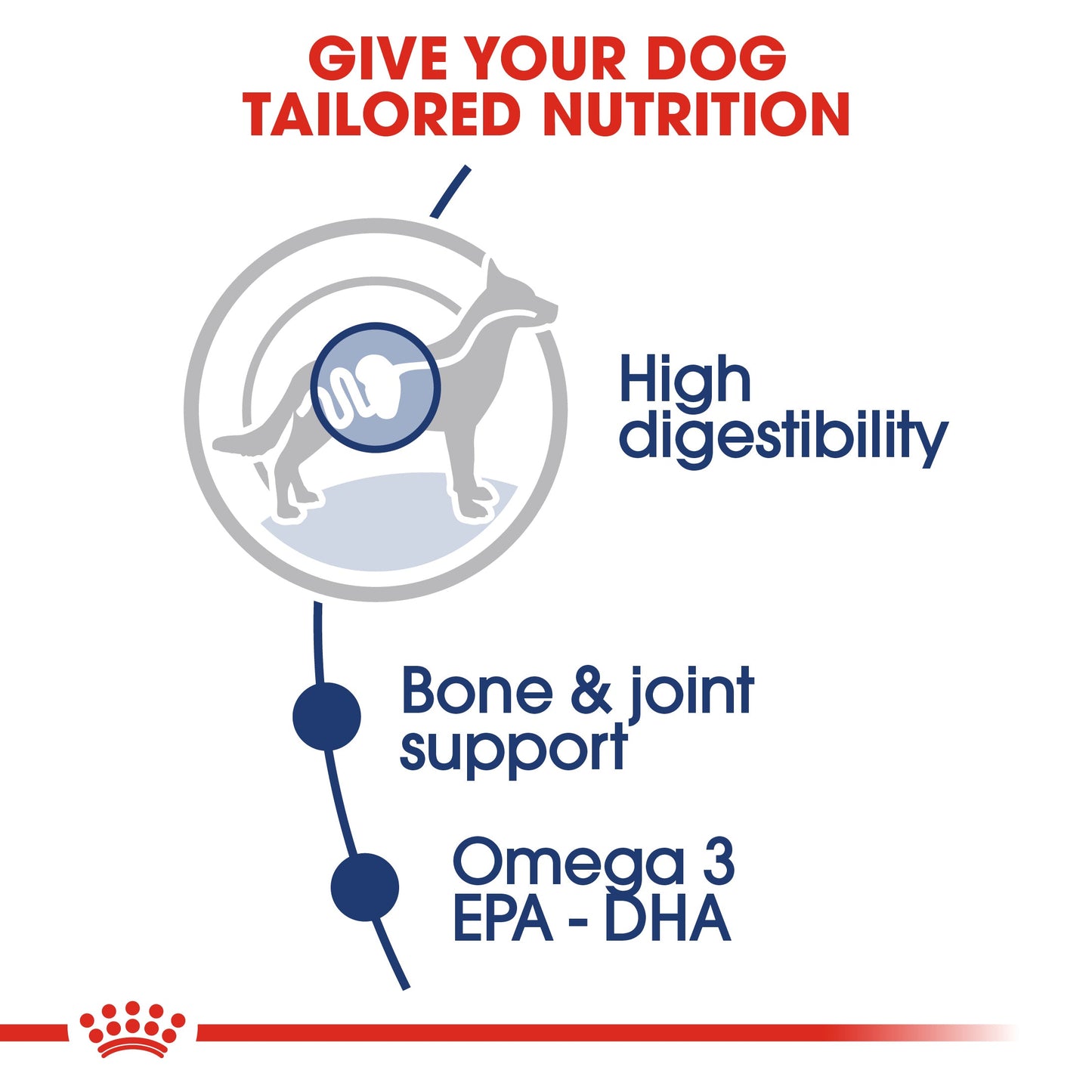ROYAL CANIN® Maxi Adult in Gravy Wet Dog Food -10x140g