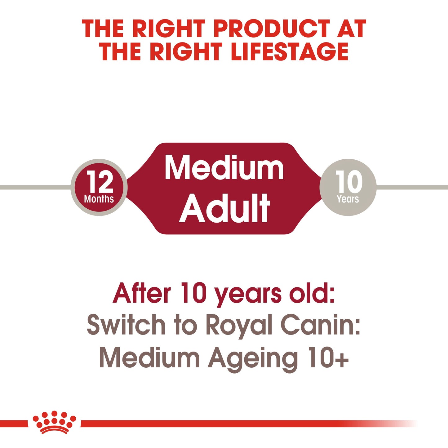 ROYAL CANIN® Medium Adult in Gravy Wet Dog Food - 10x140g
