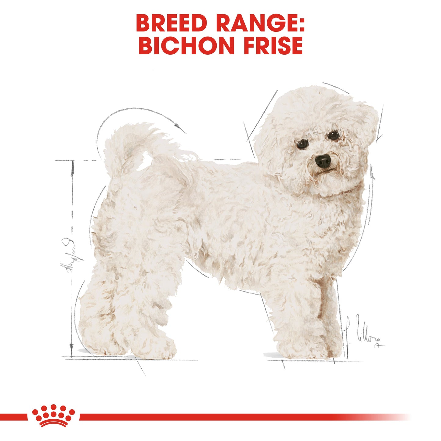 Royal Canin Adult Bichon Frise Dry Dog Food 1.5kg