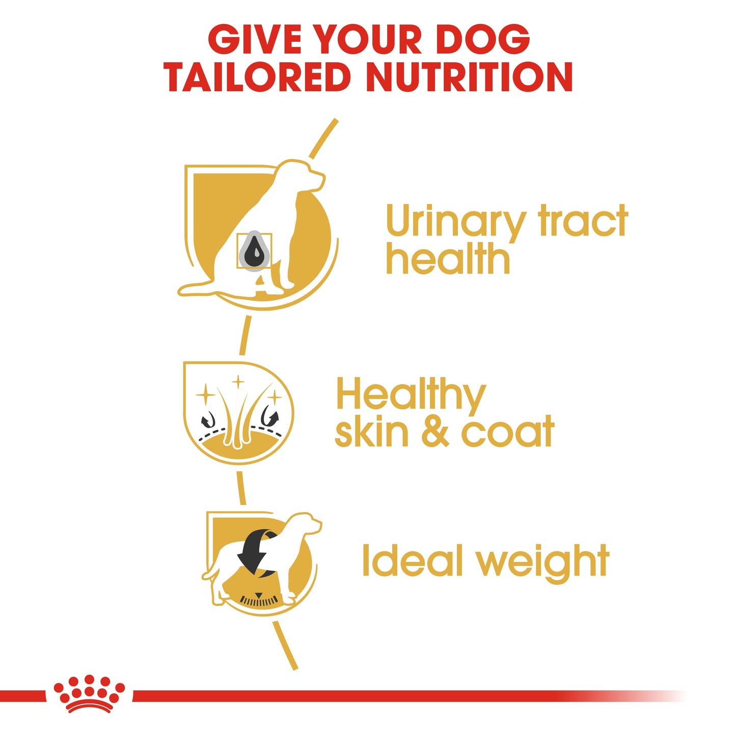 Royal Canin Adult Bichon Frise Dry Dog Food 1.5kg