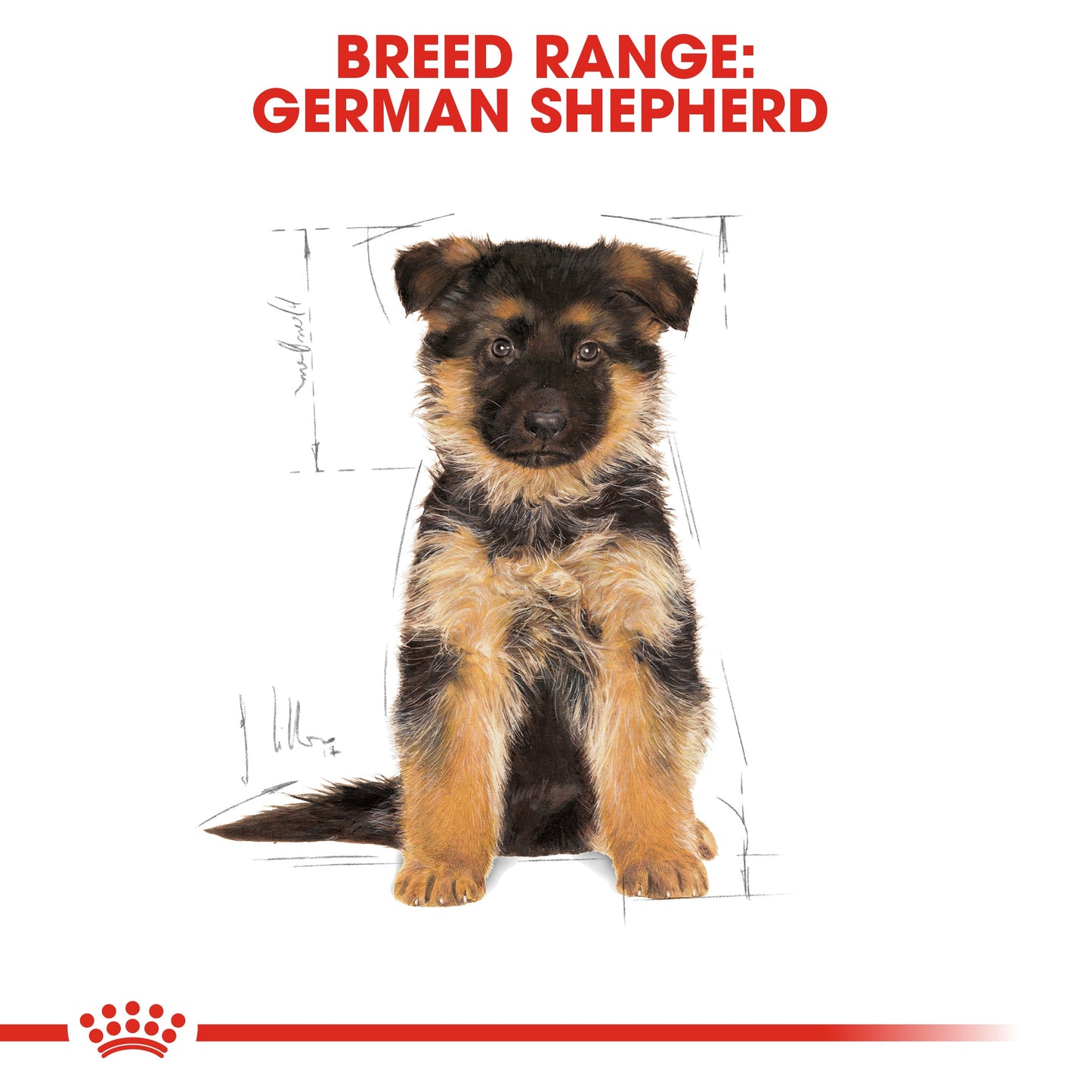 Royal Canin Puppy German Shepherd Dry Dog Food