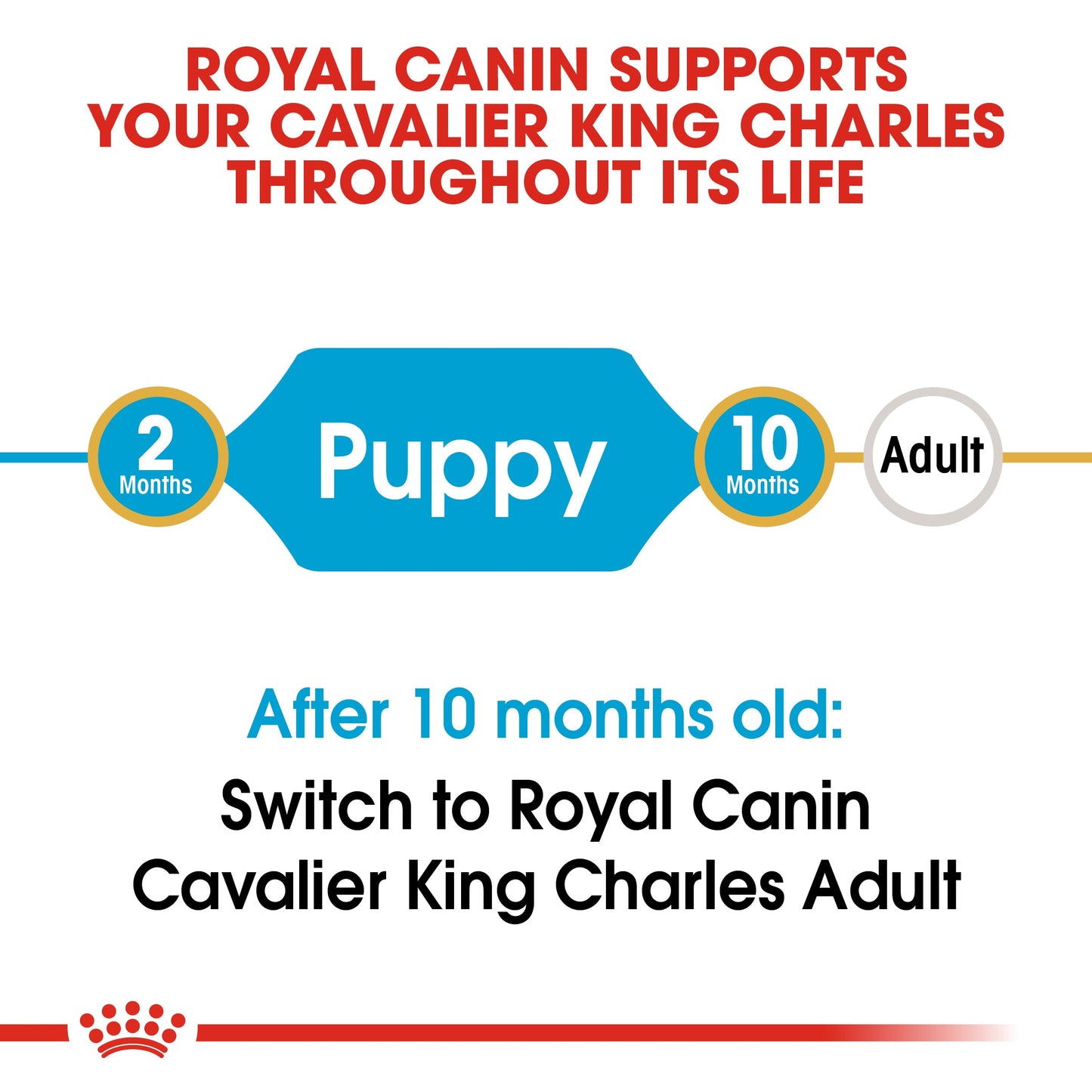 Royal Canin Puppy Cavalier King Charles Dry Dog Food 1.5kg
