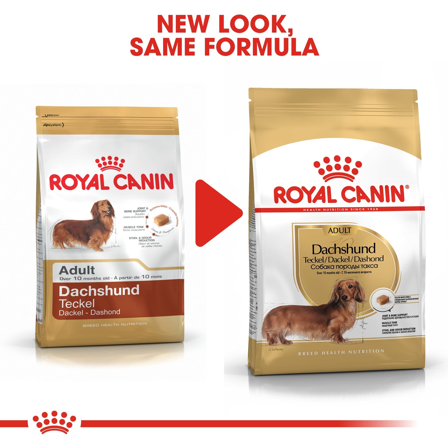 Royal Canin Adult Dachshund Dry Dog Food