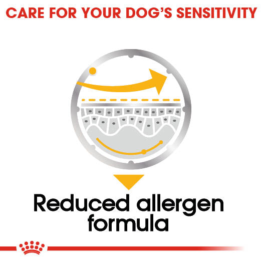 Royal Canin Adult All Size Dermacomfort Wet Dog Food