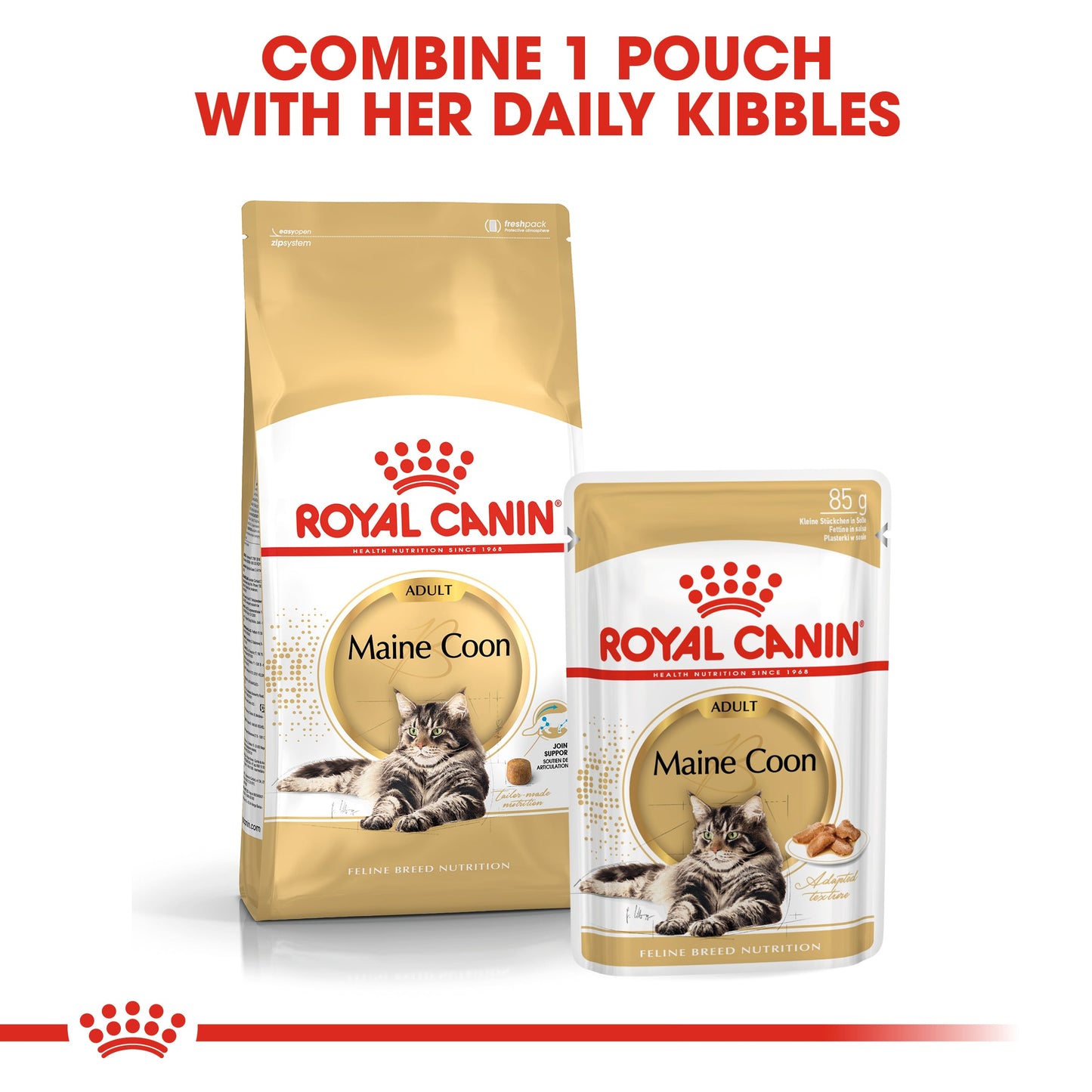 Royal Canin Adult Maine Coon Thin Slices In Gravy Wet Cat Food