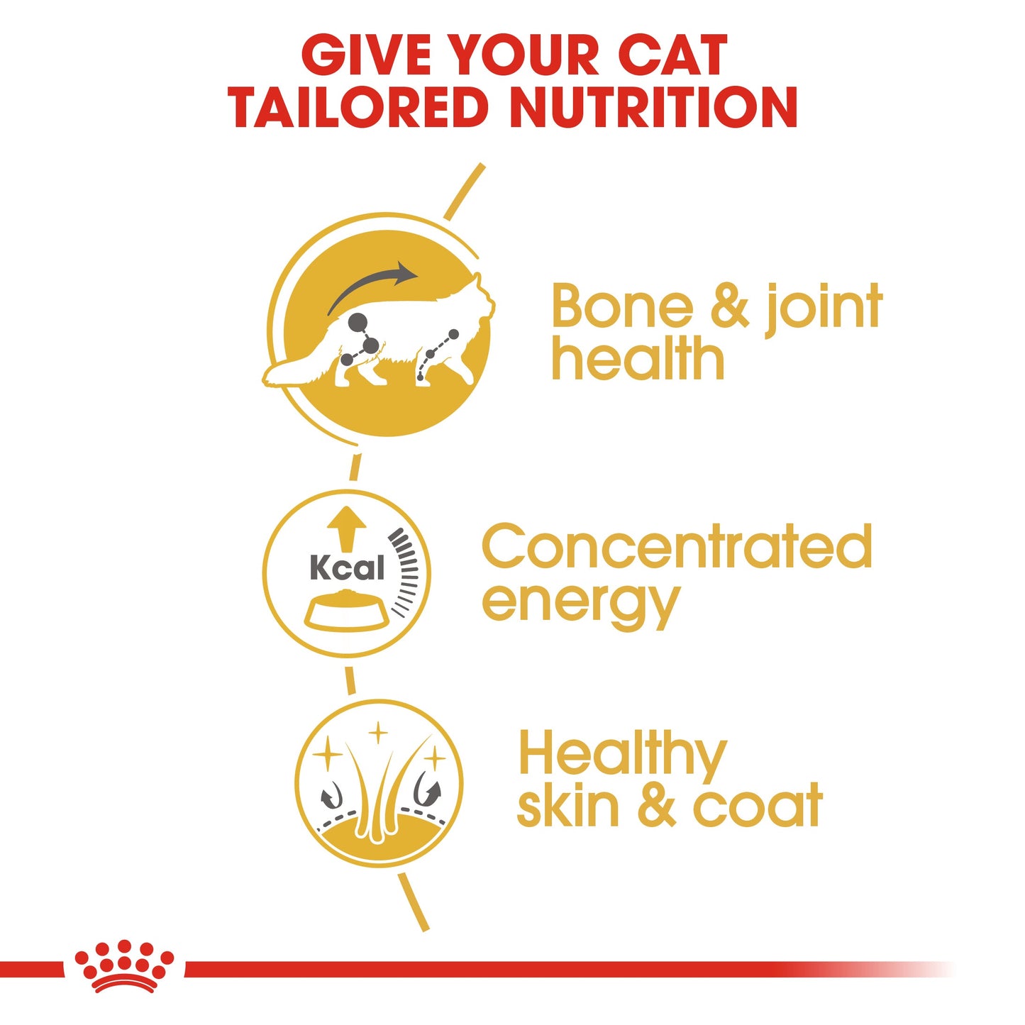Royal Canin Feline Adult Maine Coon Wet Cat Food Pouches in Gravy - 12 x 85g