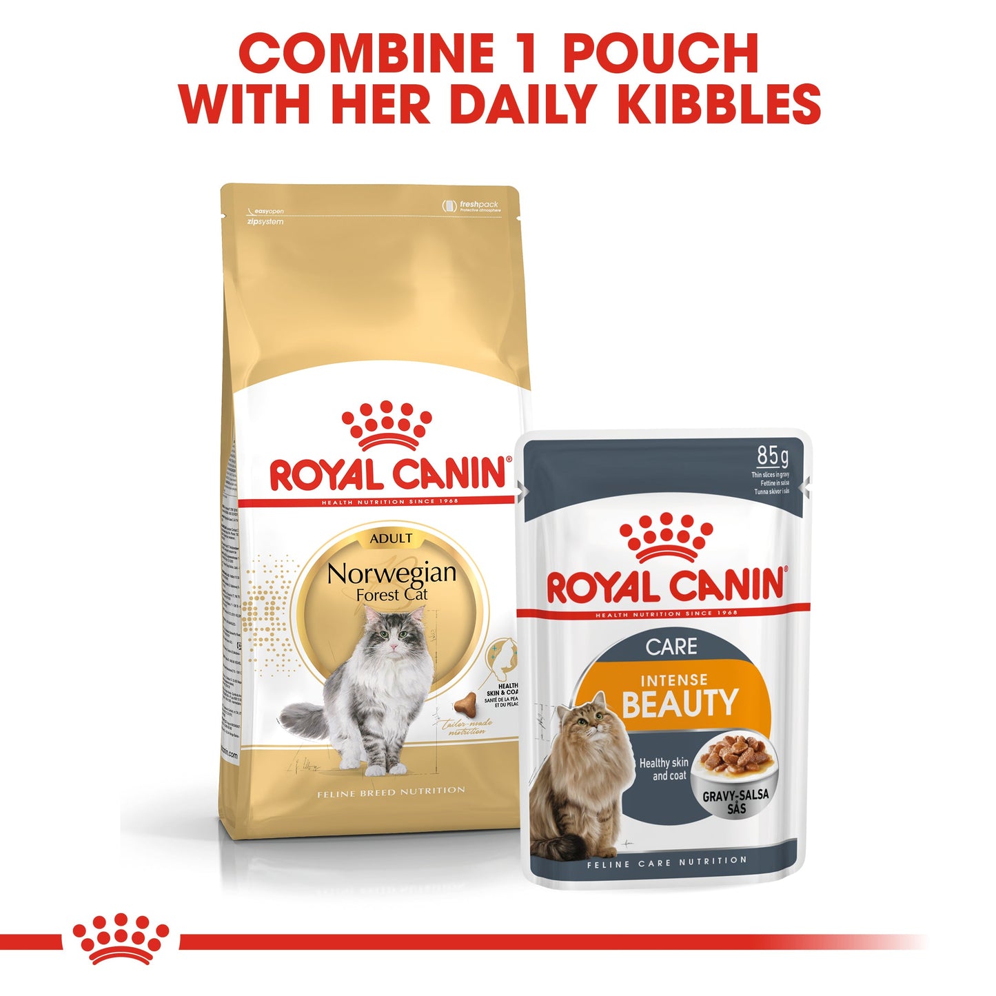 Royal Canin Adult Norwegian Forest Dry Cat Food 10kg