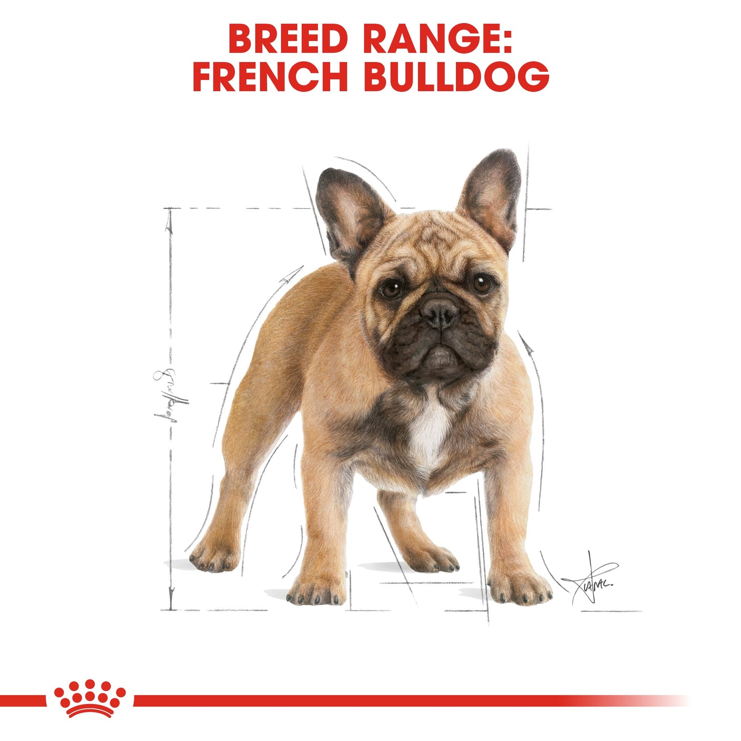 Royal Canin Adult French Bulldog Dry Dog Food