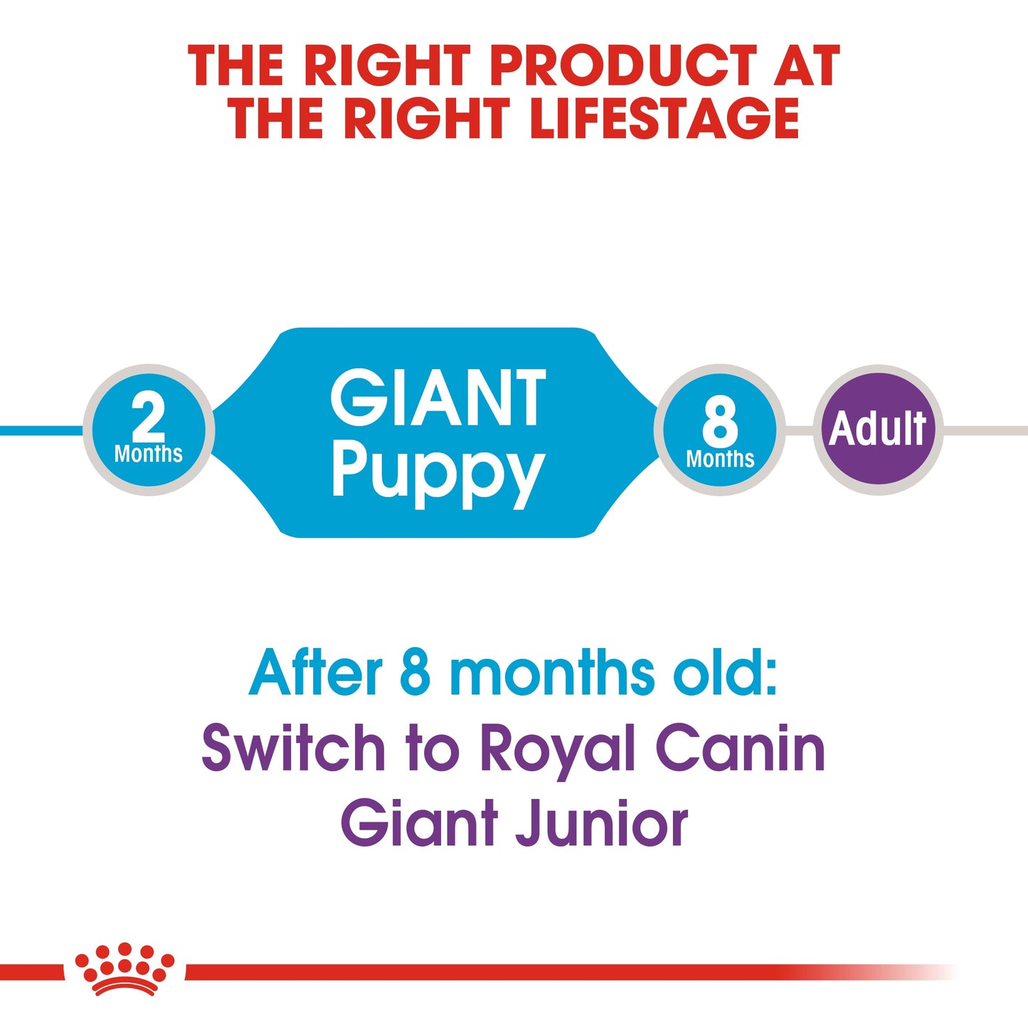 Royal Canin Puppy Giant Dry Dog Food
