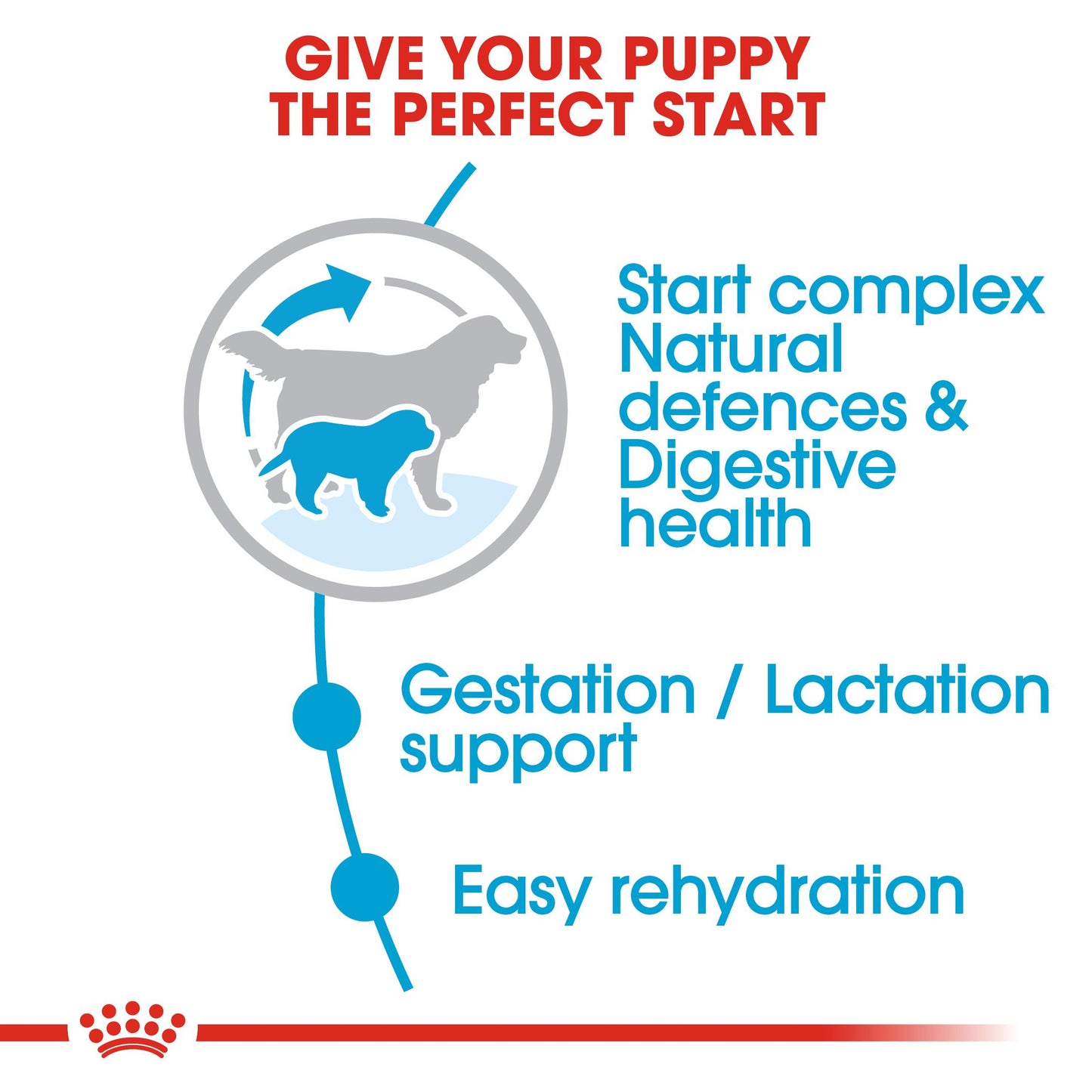 Royal Canin Mother & Babydog Giant Starter Dry Dog Food 15kg