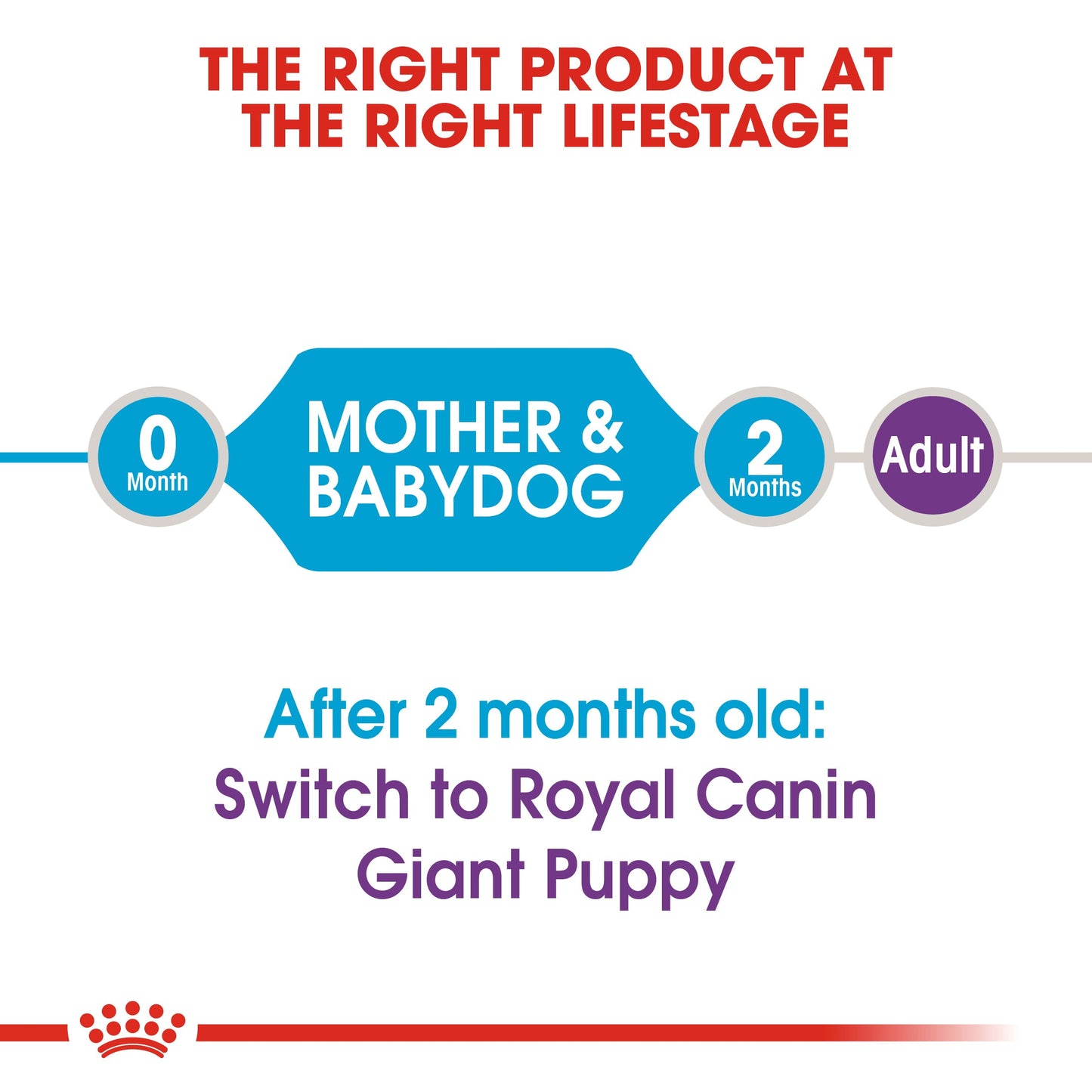 Royal Canin Mother & Babydog Giant Starter Dry Dog Food 15kg