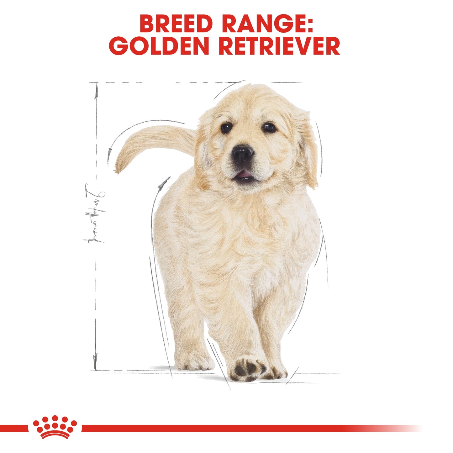 Royal Canin Puppy Golden Retriever Dry Dog Food
