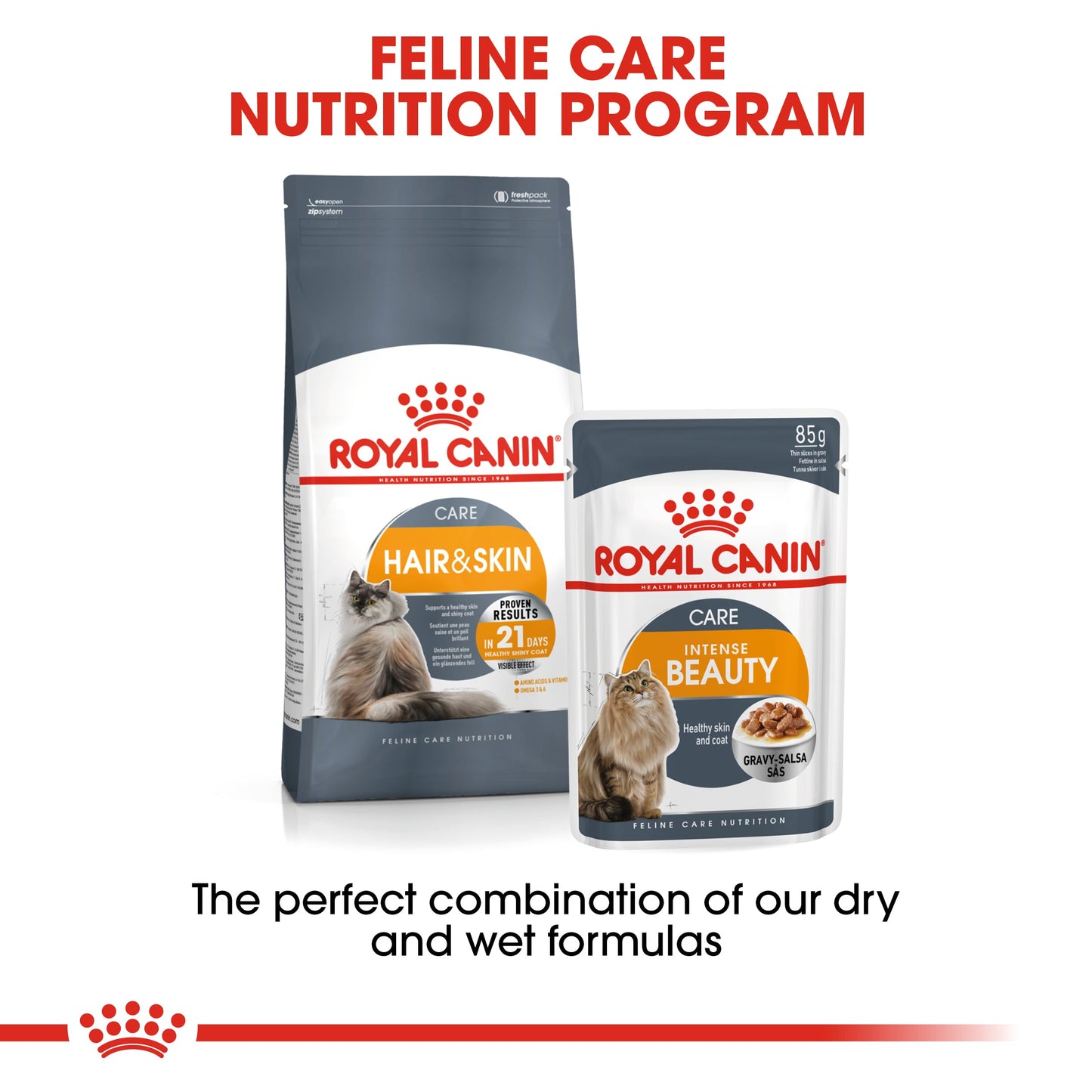 Royal Canin Intense Beauty Care In Gravy Adult Wet Cat Food Pouches - 12 x 85g