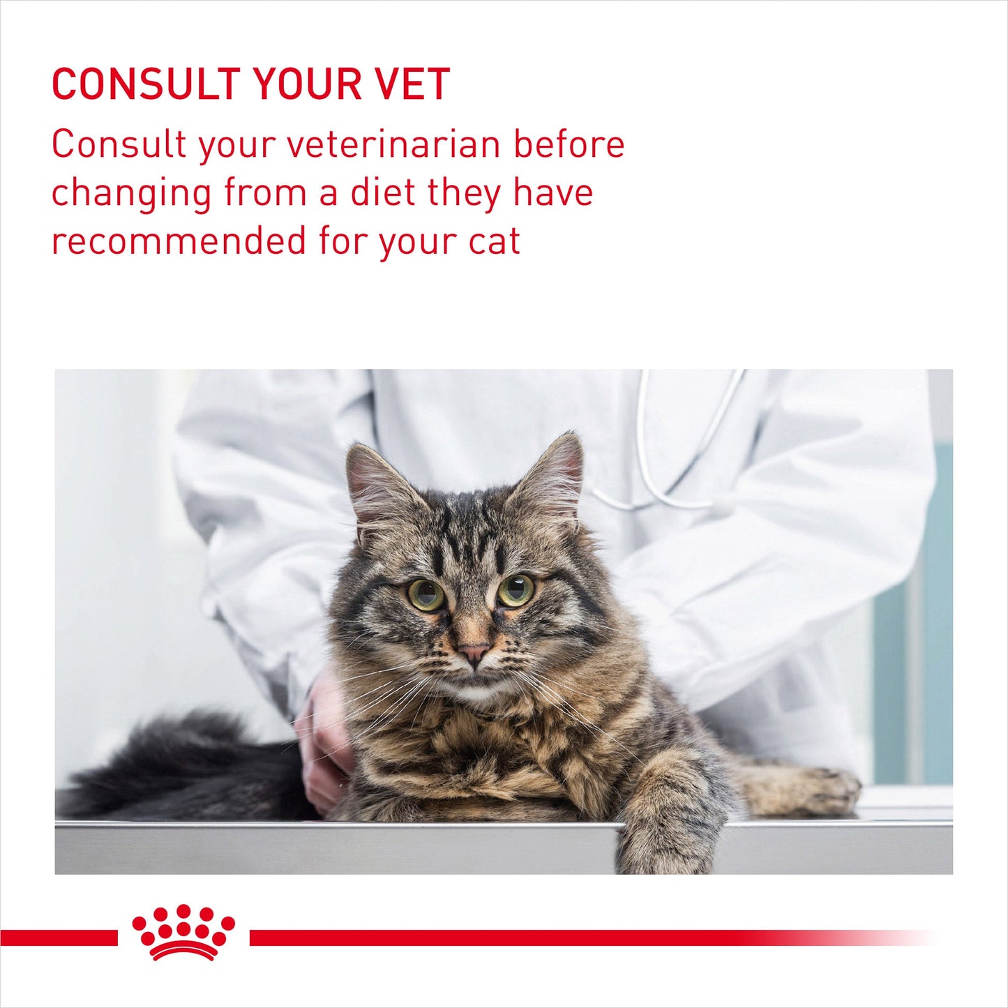 Royal Canin Intense Beauty Care In Gravy Adult Wet Cat Food Pouches - 12 x 85g