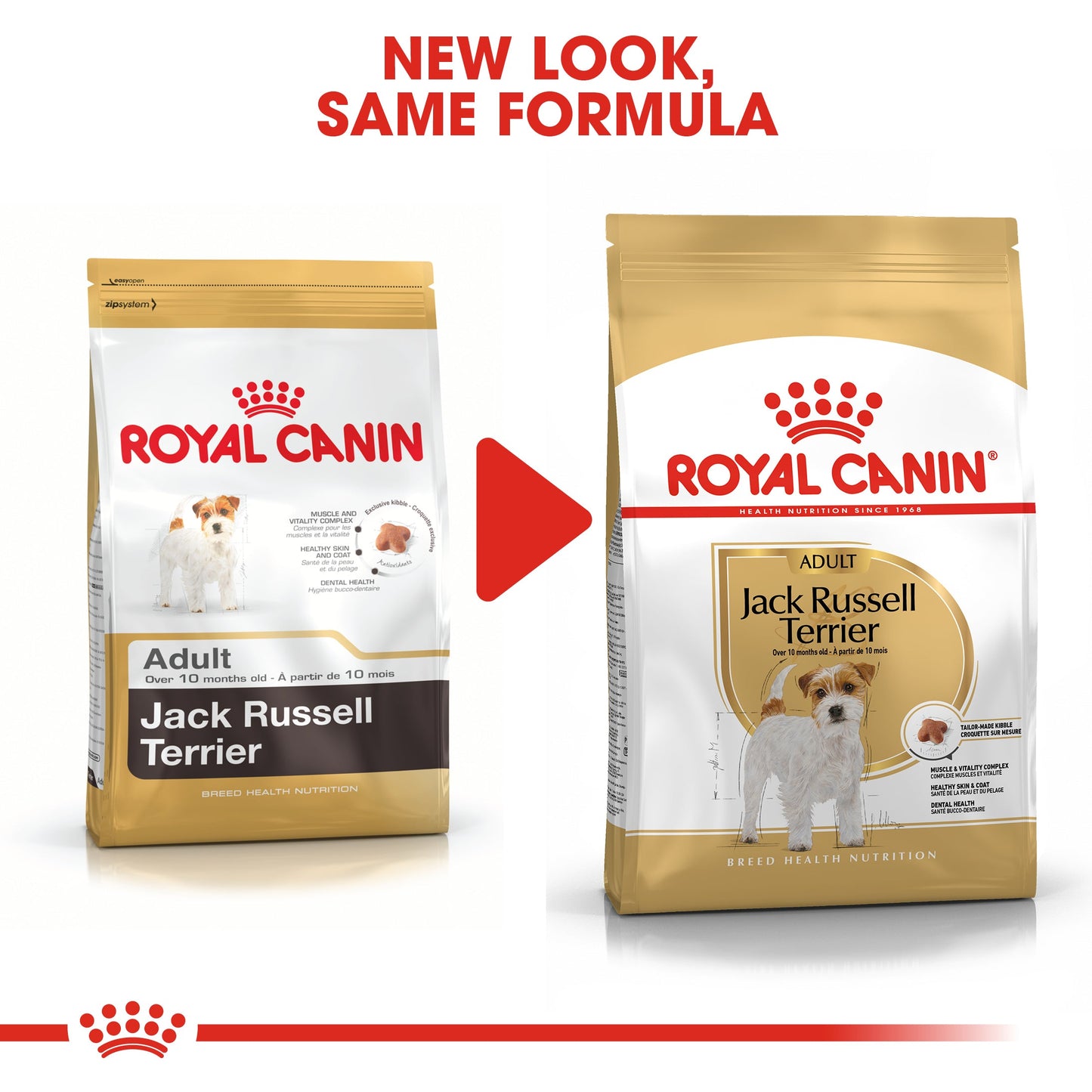 Royal Canin Adult Jack Russell Terrier Dry Dog Food