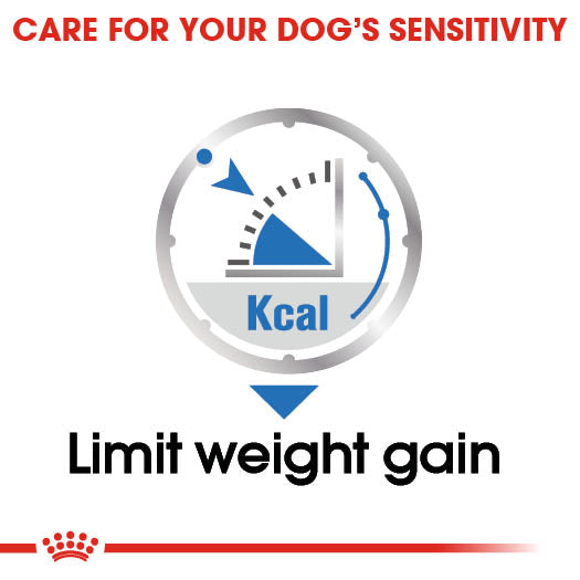Royal Canin Adult Light Weight Care Loaf Wet Dog Food