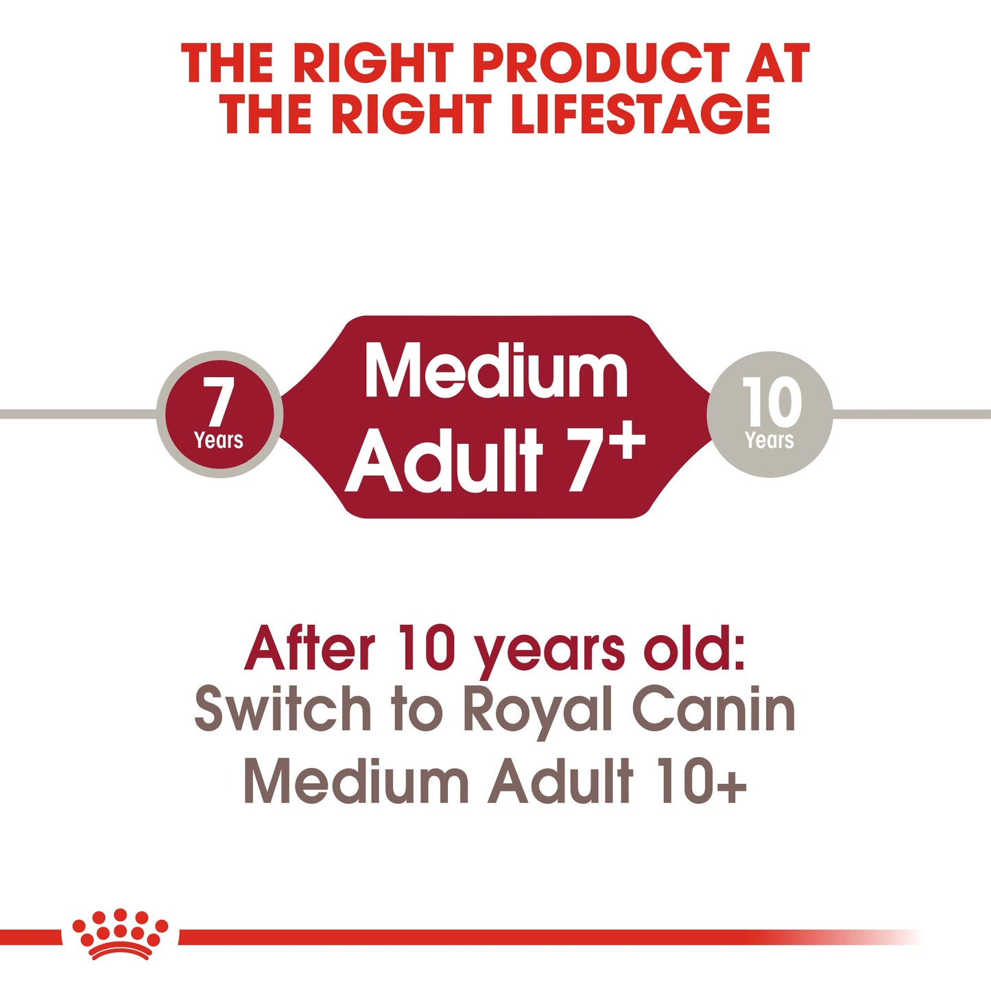 Royal Canin Adult Medium 7+ Dry Dog Food