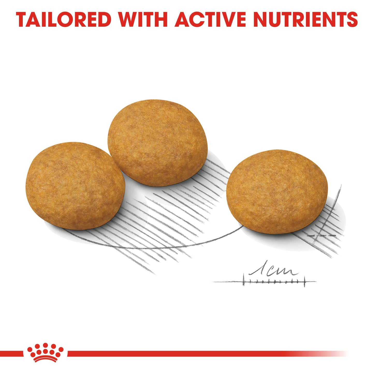 Royal Canin Adult Medium Dermacomfort Dry Dog Food