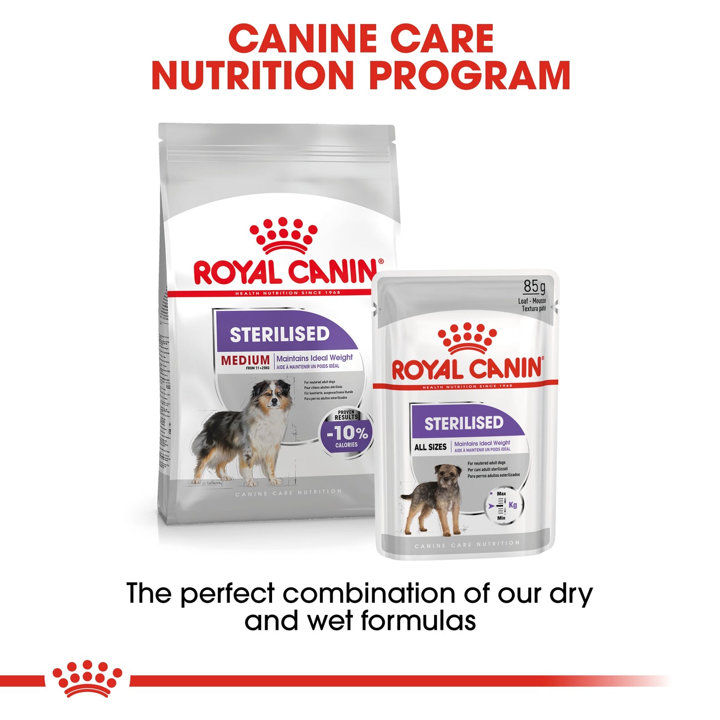 Royal Canin Adult Medium Sterilised Dry Dog Food 12kg