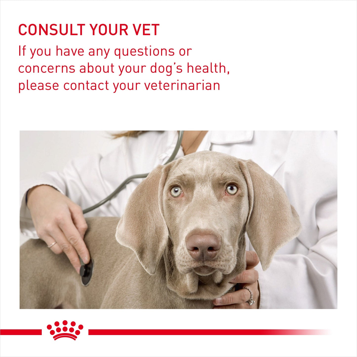 Royal Canin Adult Medium Sterilised Dry Dog Food 12kg